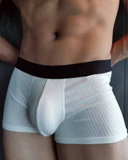 Men's Breathable Colorblock Elastic Waist Briefs